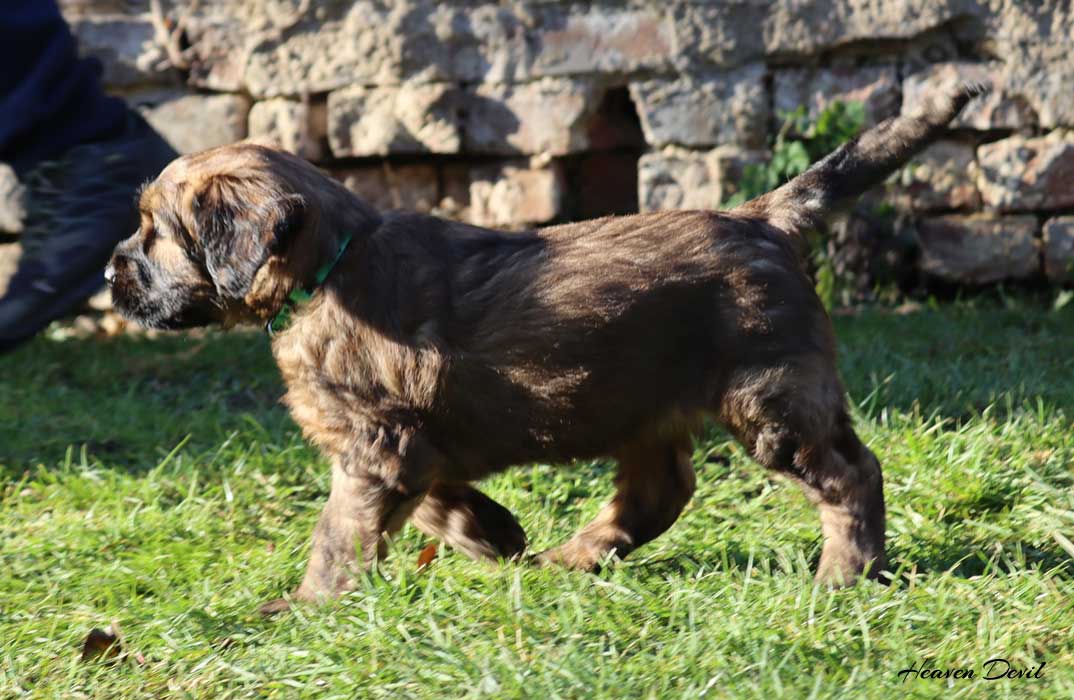 winston 25.12.2022 2
