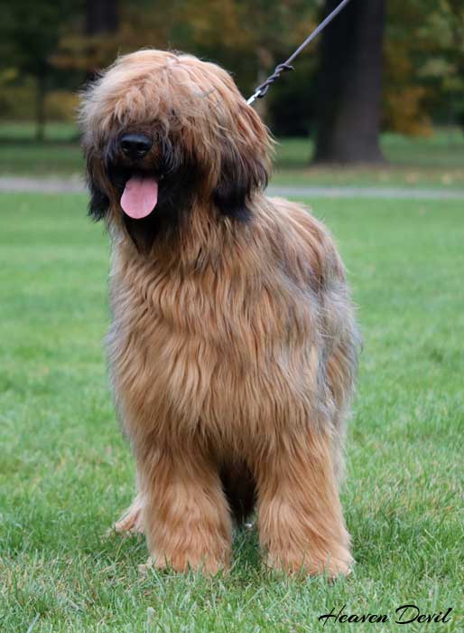 winston 29.10.2023 1