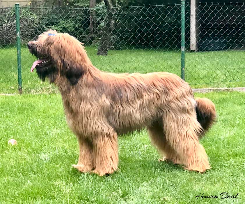 winston cervenec 2023