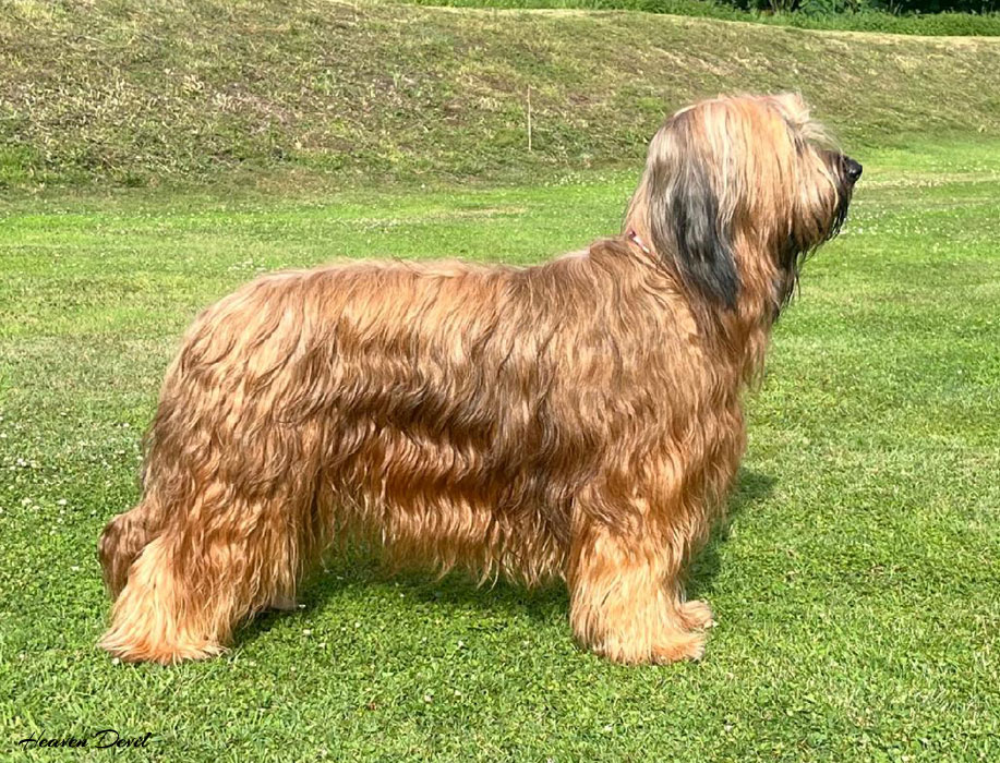 coco 15.7.2025 1