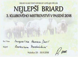 Jacqueline paseni nej briard small1
