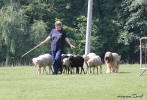 IMG 0546 small