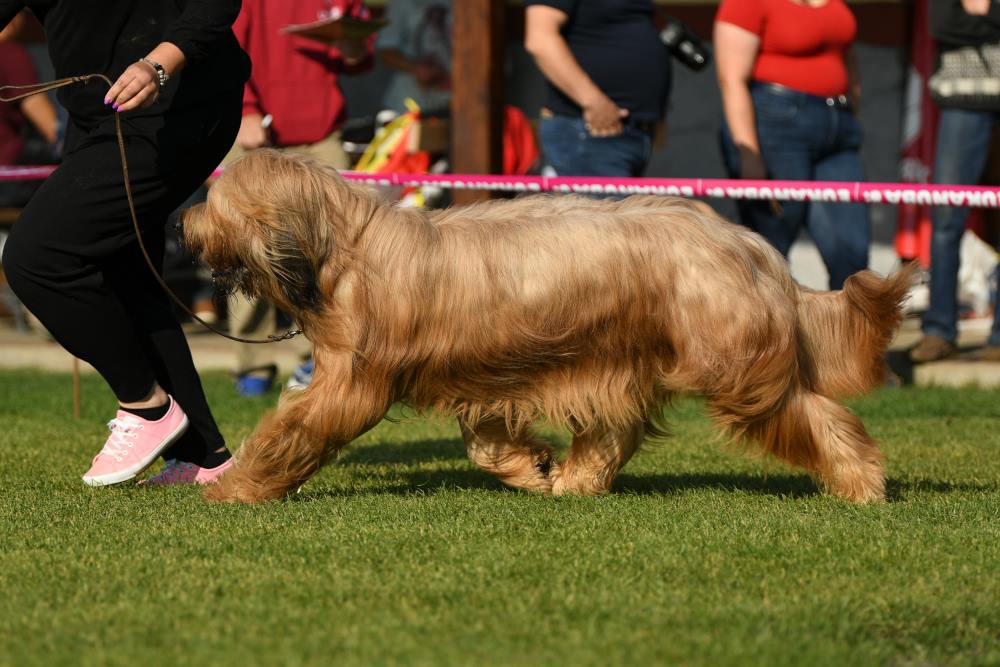 quido 13.10.2018 1