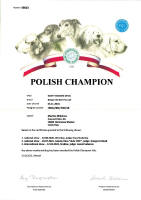 rusty polsky sampion small1