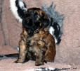 fena bila 9.12.2022 small