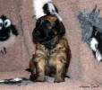 fena fialova 9.12.2022 small