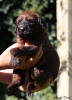 fena zluta 21.9.2025 1 small