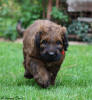 yndy 12.10.2025 small