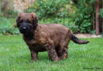 yves 12.10.2025 small