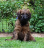 yves1 12.10.2025 small