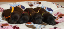 feny 22.3.2026 1 small