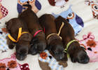 feny 22.3.2026 small