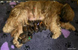 vrhZ 21.3.2026 3 small