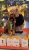 praha 12.12.25 tshakira small