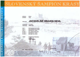 Jacqueline-slovensky-sampion small